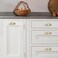 CABDM 2 Pack 212 Drawer Pulls Champagne Bronze Cabinet Cup Pulls Kitchen Hardware Cabinet Handles Drawer Handles Knobs 212 inch 64mm Center to Center