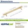 KOPPALIVE 2Pack Solid Brass Kitchen Cabinet Pulls Gold Modern TBar Handles 6516Inch Hole Center Hammered Handles for Dresser Drawer Cupboard 818 Inch Total Length Polished Finish
