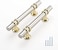 Leulan 10 Pack Kitchen Cabinet Handles Brushed Nickel and Gold Cabinet Pulls 3 Inch Silver Gold Drawer Pulls for Dresser Bathroom Two Tone Kitchen HardwareZinc Alloy Base