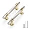 Rergy 10 Pack 334 Inch Brushed Nickel and Gold Cabinet Pulls HeavyDuty Kitchen Cabinet Handles RustResistant and Durable Drawer Pulls Zinc Alloy Hardware for CupboardClosetCabinets
