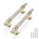 Rergy 10 Pack 334 Inch Brushed Nickel and Gold Cabinet Pulls HeavyDuty Kitchen Cabinet Handles RustResistant and Durable Drawer Pulls Zinc Alloy Hardware for CupboardClosetCabinets