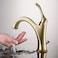 Kraus KRAUS KBF1201BG Arlo Single Handle Basin Bathroom Faucet with Lift Rod Drain and Deck Plate Brushed Gold