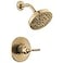 DELTA Delta Saylor 14 Series 5Setting Shower Faucet Set Brushed Gold Shower Head and Handle Set Valve Trim Kit Champagne Bronze T14235CZ Valve Not Included