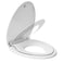 EcoExplorer Toilet Seats Elongated19 Extra Long Toilet SeatBuiltIn Potty Training Seat for ToddlersSafe Durable PP MaterialQuietClose Hinges Easy Installation Release with Hardware