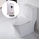 RDEXP White 708inch Height Water Tank Connected Dual Flush Fill Toilet Cistern Inlet Drain Valve Repair