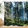 ZXMBF Trees Forest Sunlight Shower Curtain Straight Tall Trees Sunshine Attractive Nature Landscape Waterproof Fabric Bathroom Decor 72x72 Inch Green Plastic Hooks 12 PCS