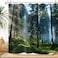 ZXMBF Trees Forest Sunlight Shower Curtain Straight Tall Trees Sunshine Attractive Nature Landscape Waterproof Fabric Bathroom Decor 72x72 Inch Green Plastic Hooks 12 PCS