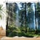 ZXMBF Trees Forest Sunlight Shower Curtain Straight Tall Trees Sunshine Attractive Nature Landscape Waterproof Fabric Bathroom Decor 72x72 Inch Green Plastic Hooks 12 PCS