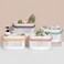 UUJOLY Plastic Storage Baskets with Handles Shower Caddy Shelf Organizers Basket for Bathroom Kitchen Dorm Room Grey