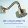 SWHYGER 8 Inch Angled Shower Arm Extension with Flange Stainless Steel Curved Shower Head Arm Replacement Brushed GoldSW910688BG