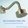SWHYGER 8 Inch Angled Shower Arm Extension with Flange Stainless Steel Curved Shower Head Arm Replacement Brushed GoldSW910688BG