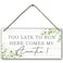 PHAMTE Ring Bearer Sign Ring Bearer Wedding Too Late to Run Here Comes My Auntie Plaque Sign Wall Hanging Rustic Wedding Decor Decorations 12 x 6 Inches