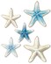 Putuo Decor Blue and White Starfish Beach Wall Dcor Set 5 Piece Nautical Hanging Decor for Coastal Homes Bathrooms Poolside Spaces Its not 3D