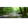 OERJU 30x12 Inches Rainforest Terrarium Background Deep Forest Tank Aquarium Sunny Stream Stones Trees Grass Tropical Plants Reptile Habitat Durable Polyester