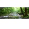 OERJU 30x12 Inches Rainforest Terrarium Background Deep Forest Tank Aquarium Sunny Stream Stones Trees Grass Tropical Plants Reptile Habitat Durable Polyester