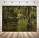 Tommy backdrop 7x5FT Swamp Bayou Honey Island River backdrops Computer Printed Jungle Party Wall Background lyshu2019422339