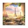 Baocicco 6x6ft Paris Panorama Effel Tower Garden Backdrop Vinyl Photography Background High Platform Sunset Glow Landscape Flower Bouquet Old Lantern