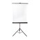CFS Products Retractable White Photo ID Backdrop for Passport Photos Free Standing