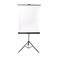 CFS Products Retractable White Photo ID Backdrop for Passport Photos Free Standing