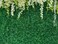 CHAIYA 7x5FT Greenery Backdrop with Flowers Green Leaf White Flower Photo Backdrops Bridal Shower for Wedding Reception Ceremony Birthday 027