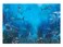 Funnytree 7x5FT Shark Under The Sea World Photography Backdrop for Birthday Party Banner Decor Aquarium Ocean Background Photo Booth
