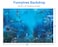 Funnytree 7x5FT Shark Under The Sea World Photography Backdrop for Birthday Party Banner Decor Aquarium Ocean Background Photo Booth