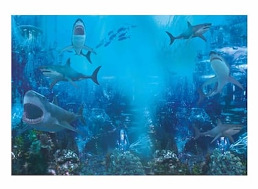 Funnytree 7x5FT Shark Under The Sea World Photography Backdrop for Birthday Party Banner Decor Aquarium Ocean Background Photo Booth