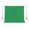 Joccun 7X10FT Green Backdrop Background for PhotographyPolyester Backdrop Curtain Background Screen for PhotographyPhotoshootVideo RecordingStudio7X10ftGreen