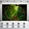 Mitivcati Jungle Forest Backdrop Mysterious Spring Rainforest Sunlight Jungle Forest Photography Backgrounds Camping Theme Party Backdrop Outdoorsy Natural Scenery Kids Adult Wedding Studio Backdrops