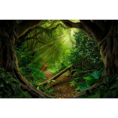 Mitivcati Jungle Forest Backdrop Mysterious Spring Rainforest Sunlight Jungle Forest Photography Backgrounds Camping Theme Party Backdrop Outdoorsy Natural Scenery Kids Adult Wedding Studio Backdrops