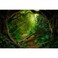 Mitivcati Jungle Forest Backdrop Mysterious Spring Rainforest Sunlight Jungle Forest Photography Backgrounds Camping Theme Party Backdrop Outdoorsy Natural Scenery Kids Adult Wedding Studio Backdrops