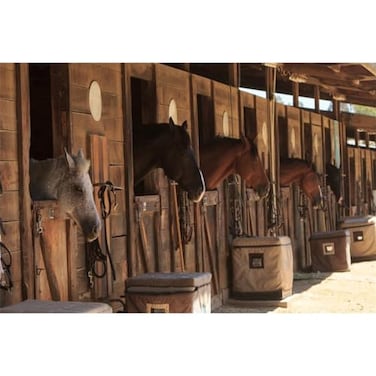 Laeacco Stable Backdrop 7x5ft StudFarm Horses Scene Backdrop Farm Country Village Rustic Rural Theme Background Cowboy Portrait Background Photo Shooting Prop