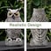 OFFO Owl Statue Plastic Owls Scarecrow for Halloween Decorations Outdoor Garden Yard Pool Decoration 83 in Height Brown