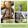 OFFO Owl Statue Plastic Owls Scarecrow for Halloween Decorations Outdoor Garden Yard Pool Decoration 83 in Height Brown