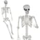 SUNREEK 59ft Halloween Full Size Skeleton Large Human Skeleton Bones with Full Body Posable Joints for Halloween Graveyard Haunted House Spooky Scene Dcor 59ft