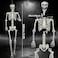SUNREEK 59ft Halloween Full Size Skeleton Large Human Skeleton Bones with Full Body Posable Joints for Halloween Graveyard Haunted House Spooky Scene Dcor 59ft
