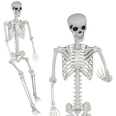 SUNREEK 59ft Halloween Full Size Skeleton Large Human Skeleton Bones with Full Body Posable Joints for Halloween Graveyard Haunted House Spooky Scene Dcor 59ft