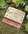 SB Goods I Thought of You Stone Decorative Memorial Stone for Your Yard ne k