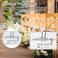 BATTIPAW Wedding Direction Signs 3 Packs Plastic Signs with H Stakes DoubleSided Printed Arrows 18x12in