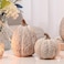 AOMOONOA Artificial Pumpkin Decor Brown and White Decorative Pumpkins Thanksgiving Resin Pumpkins Figurine Set of 2 Carved Pumpkin Statues for Rustic Fall Tabletop Home Decor Harvest Wedding