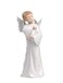 NAO Nao 20015960 Guardian Angel