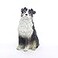 Conversation Concepts Australian Shepherd Tricolor Docked Tiny Ones Dog Figurine