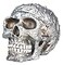 SUMMIT COLLECTION Diamond Plate Skull Container Collectible Skeleton Figurine Model