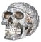 SUMMIT COLLECTION Diamond Plate Skull Container Collectible Skeleton Figurine Model