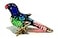 We Are Handmade Mini Blown Glass 2 Parrot Bird Fantasy Figurine Art Cool Stuff Miniature Animals Home or Garden Decor Gift Ideas Blue