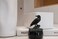 EASCHEER Raven On Rock Statue 3 Gothic Crow Scavenger Bird Decor Figurine