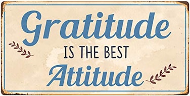 StickerPirate 883HS Gratitude is The Best Attitude 5x10 Aluminum Hanging Novelty Sign