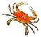 LX Hand Painted Red Crab Beach Tiki Bar Wall Mount Decor 6