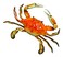 LX Hand Painted Red Crab Beach Tiki Bar Wall Mount Decor 6