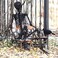 IDMOP 54Ft Halloween SkeletonPosable Skeleton Full Size Skeleton with Movable Joints and 2PC Black Feathered Crows for Halloween Decorations Outside and Inside